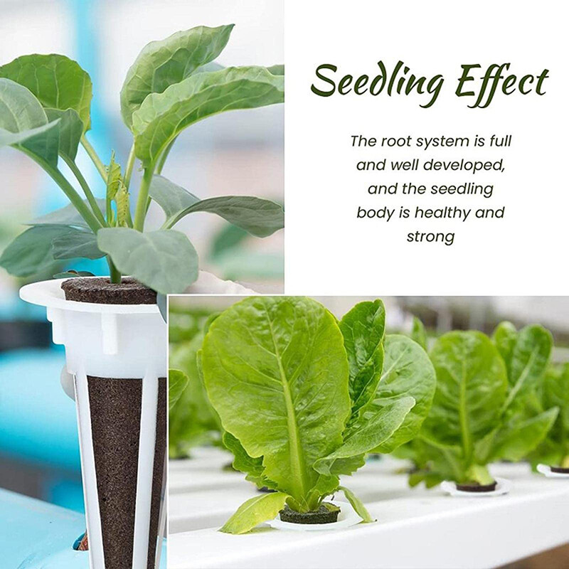 50 vnt sodinimo krepšelio auginimo kempinės Sodinimo kempinių blokai Aerogarden augalų mašinai bedirmės sodinukams biochar medvilnė