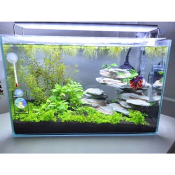 Ενυδρείο LED Light Super Slim Fish Tank Aquatic Plant Grow Lighting Αδιάβροχο Φωτεινό Κλιπ Λάμπα Μπλε LED 18-72cm για Φυτά 220v