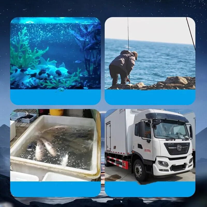 Mini USB akvariumo oro siurblys su oro akmeniu tylus energiją taupantis deguonies siurblys oro kompresorius akvariumo filtras žvejybos bako priedas