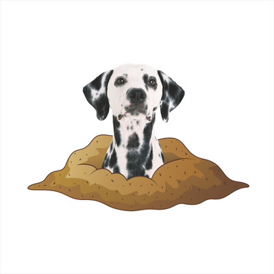 3D jauki suņi Kaulu Ķepa Sienas Uzlīme Tualete Vannas istabas Apdare Dzīvnieki Mājas Automašīnas Apdares Sienas Mākslas Plakāts