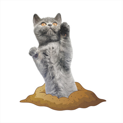 3D jauki suņi Kaulu Ķepa Sienas Uzlīme Tualete Vannas istabas Apdare Dzīvnieki Mājas Automašīnas Apdares Sienas Mākslas Plakāts