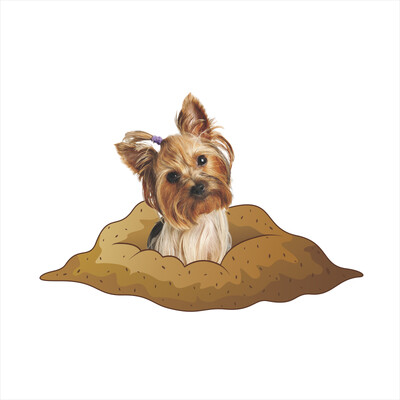 3D jauki suņi Kaulu Ķepa Sienas Uzlīme Tualete Vannas istabas Apdare Dzīvnieki Mājas Automašīnas Apdares Sienas Mākslas Plakāts