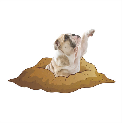 3D jauki suņi Kaulu Ķepa Sienas Uzlīme Tualete Vannas istabas Apdare Dzīvnieki Mājas Automašīnas Apdares Sienas Mākslas Plakāts