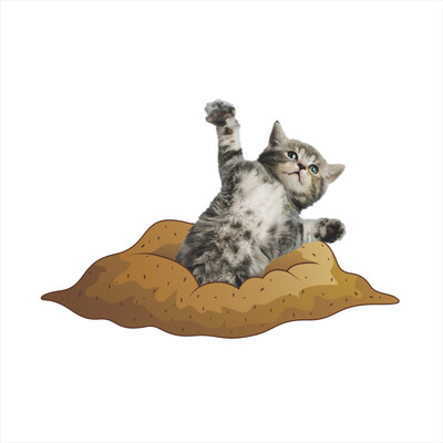 3D jauki suņi Kaulu Ķepa Sienas Uzlīme Tualete Vannas istabas Apdare Dzīvnieki Mājas Automašīnas Apdares Sienas Mākslas Plakāts