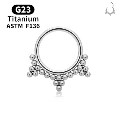 G23 titán kerek karika D alakú orrgyűrű Daith szív fülbevaló 16G CZ csuklós szegmens fül Tragus porc Helix piercing ékszer
