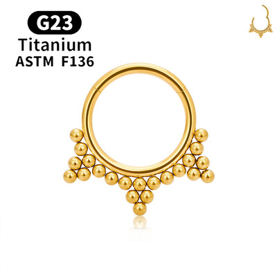 G23 titán kerek karika D alakú orrgyűrű Daith szív fülbevaló 16G CZ csuklós szegmens fül Tragus porc Helix piercing ékszer