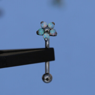 F136 Σετ τρυπήματος φρυδιών από τιτάνιο Opal Zircon 16G Εσωτερική κλωστή Μπανάνα με κυρτό χείλος Κοσμήματα για τρύπημα αφαλού