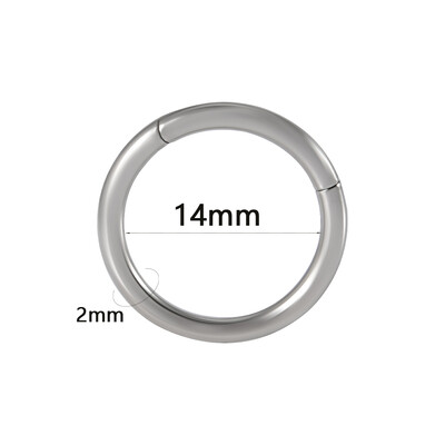 Κόσμημα για διάτρηση λοβού αυτιού 1 τμχ χειρουργικό ατσάλι με αρθρωτό δακτύλιο