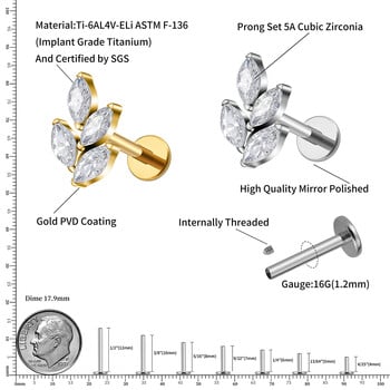 Δεξί Grand ASTM F136 Titanium 16G Marquise CZ σε σχήμα φύλλου χόνδρος έλικας κόγχη λοβός αυτί Piercing επίπεδο πίσω σκουλαρίκι