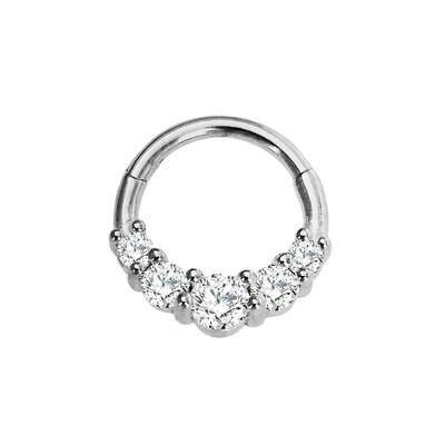 Vízcsepp Virág Hold CZ Daith Conch Tragus Hoop fülbevaló Helix Septum Piercing Clicker szegmens orrgyűrű 316L sebészeti acél 16G