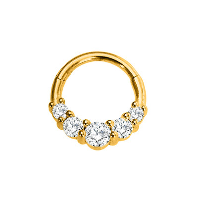 Vízcsepp Virág Hold CZ Daith Conch Tragus Hoop fülbevaló Helix Septum Piercing Clicker szegmens orrgyűrű 316L sebészeti acél 16G