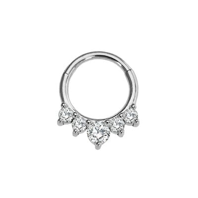 Vízcsepp Virág Hold CZ Daith Conch Tragus Hoop fülbevaló Helix Septum Piercing Clicker szegmens orrgyűrű 316L sebészeti acél 16G