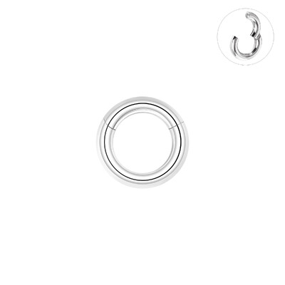 ZS 1PC Velike naušnice u obliku obruča Mjerači za uši od nehrđajućeg čelika 316L Čepovi Punk prstenovi za nos 2/4/6/8/10/12G BCR piercingi