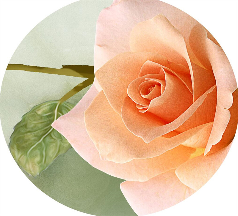 Tapeta prilagođene veličine Grana ruže Mural Europska TV pozadina Zid Dnevni boravak Spavaća soba cvjetni ukras doma fotografije tapeta