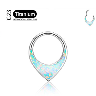ASTM F136 G23 titán orrgyűrűs tükör 16G Hold vízcsepp septum piercing klikker szegmens gyűrű Daith kagyló karika fülbevaló