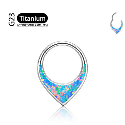 ASTM F136 G23 titán orrgyűrűs tükör 16G Hold vízcsepp septum piercing klikker szegmens gyűrű Daith kagyló karika fülbevaló