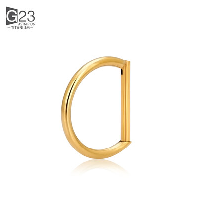ASTM F-136 Inel de titan pentru nas Cercel de inimă Daith Cartilaj Tragus În formă de D Inele helix Cerc de segment cu balamale cu CZ transparent
