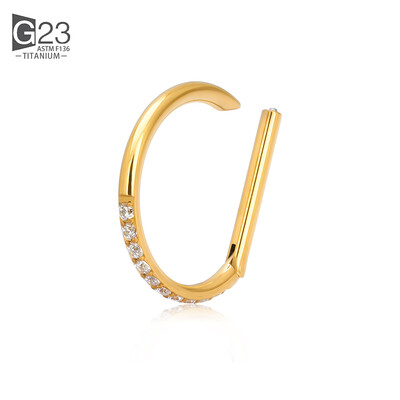 ASTM F-136 Inel de titan pentru nas Cercel de inimă Daith Cartilaj Tragus În formă de D Inele helix Cerc de segment cu balamale cu CZ transparent