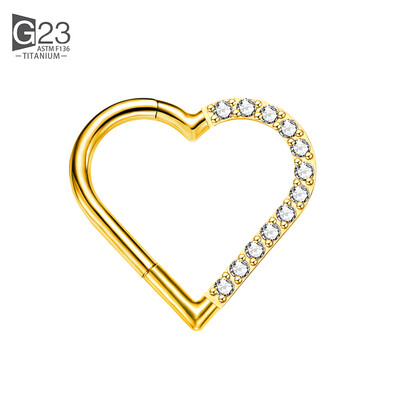 ASTM F-136 Inel de titan pentru nas Cercel de inimă Daith Cartilaj Tragus În formă de D Inele helix Cerc de segment cu balamale cu CZ transparent