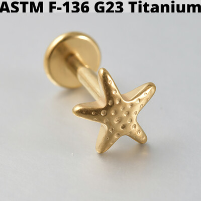 Cercei din cartilaj din titan solid Cz Steaua cu patru colțuri G23 Stud 16G Filet intern Sun Helix Ureche Tragus Piercing Bijuterii