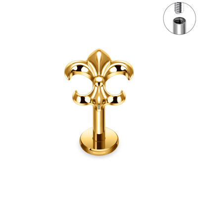 G23 Titanium Labret Lip Nazal Nail Stud cercei pentru femei ASTM F136 Piercing Body Jewelr 16G Cercei Tragus Cartilage