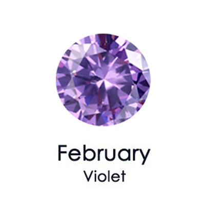 sieviešu nerūsējošā tērauda dzimšanas akmens kaklarota ar fāzēm ķēde cirkonija kulons Choker rotaslietas sievietēm zvaigznāja dzimšanas dienas dāvana 2024