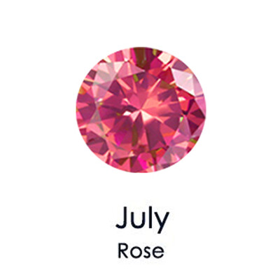 sieviešu nerūsējošā tērauda dzimšanas akmens kaklarota ar fāzēm ķēde cirkonija kulons Choker rotaslietas sievietēm zvaigznāja dzimšanas dienas dāvana 2024