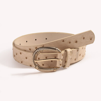 Retro Pu odinis moterų lauko mados diržas paukščių raštas madinga gėlių sagtis Universalus juosmens dirželis smėlio spalvos 100 cm sagtis