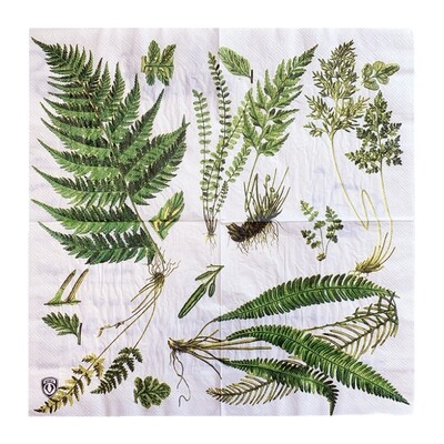 20/8 db Mix eukaliptusz pálmalevelek asztali decoupage papír szalvéták zöld növények szalvéta papír törlőkendő esküvői kellékekhez