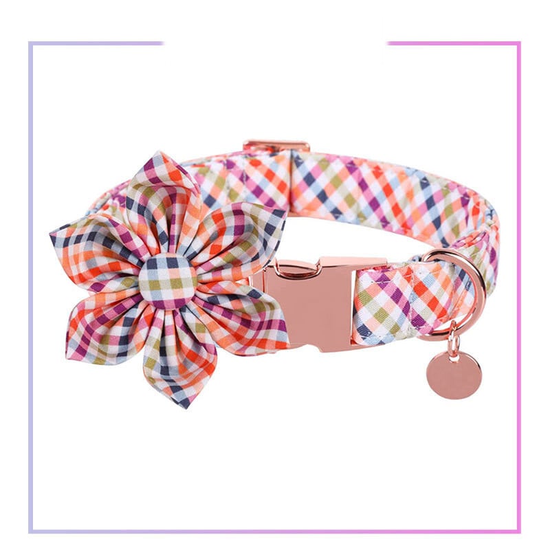 Zgarda transfrontalieră Amazon Lingot pentru câine Guler pentru animale de companie Teddy Golden Retriever Lesă Guler gravat anti-pierdere