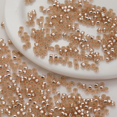 960 kusov 2,5 mm strieborných sklenených korálok so skleneným jadrom, voľné korálky, jednotná veľkosť, francúzske vyšívacie strapcové doplnky, 15 g/balenie