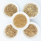 10g/csomag Több méretben Arany cseh üveg maggyöngyök távtartó cső bugles gyöngyök ékszerkészítéshez hímzés barkács varrás kiegészítők