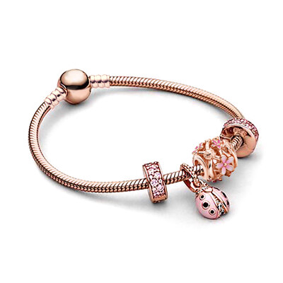 „Buipoey“ sidabru dengtos širdies pakabuko pakabuko žavesio apyrankės moterims Originalios mergaičių princesės karūnos apyrankės su karoliukais Žmonos papuošalai