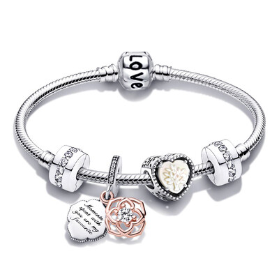 „Buipoey“ sidabru dengtos širdies pakabuko pakabuko žavesio apyrankės moterims Originalios mergaičių princesės karūnos apyrankės su karoliukais Žmonos papuošalai