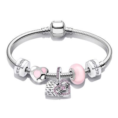 „Buipoey“ sidabru dengtos širdies pakabuko pakabuko žavesio apyrankės moterims Originalios mergaičių princesės karūnos apyrankės su karoliukais Žmonos papuošalai