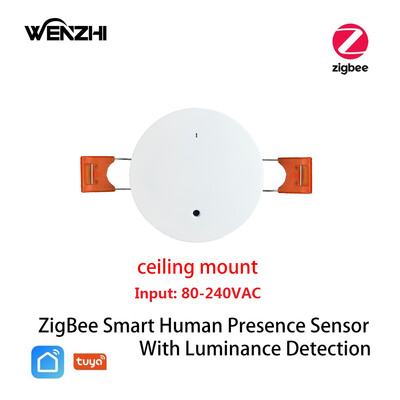 ZigBee Wifi MmWave žmogaus buvimo judesio jutiklis su skaisčio / atstumo aptikimu 5/110/220V Tuya Smart Life namų automatika