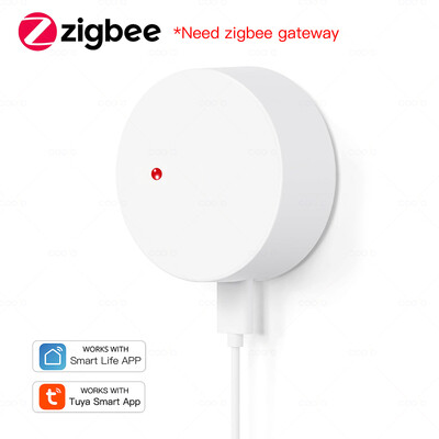 ZigBee Wifi MmWave Žmogaus buvimo judesio jutiklis Radaro bangos žmogaus detektorius Judesio detektorius Tuya Hub Smart Life namų automatika
