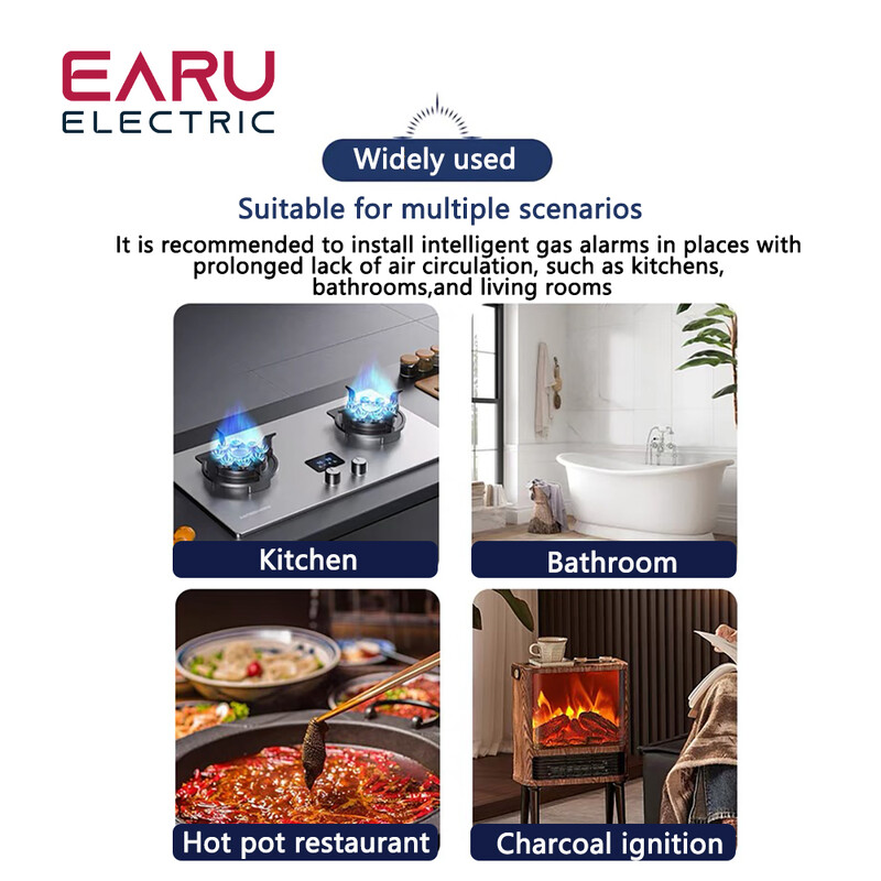 Tuya WiFi ZigBee Air Box Ποιότητα CO Ανιχνευτής μονοξειδίου του άνθρακα Ο συναγερμός αυτοματισμού Λειτουργεί με την εφαρμογή Smart Life Alexa Google Home