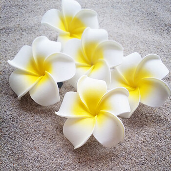 6Pcs Plumeria Flower Щипки за коса за жени Момичета Фиби Яйце Цвете Barrette Хавайска сватбена чанта Шапка Аксесоари