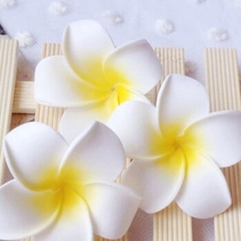 6Pcs Plumeria Flower Щипки за коса за жени Момичета Фиби Яйце Цвете Barrette Хавайска сватбена чанта Шапка Аксесоари