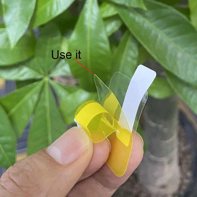 Ekrano apsauga, skirta Colmi P81 P73 P71 P76 P68 P60 C63 C61 C81 C80 Apyrankės apsauginė plėvelė Colmi P8 P28 Plus ekrano apsauga