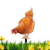 Csirkeudvar dekoráció Tyúk karótábla akril kakas dekor földdugó Reális baromfi szobor udvarhoz pázsit terasz kert