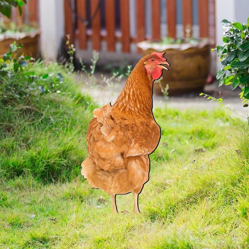 Csirkeudvar dekoráció Tyúk karótábla akril kakas dekor földdugó Reális baromfi szobor udvarhoz pázsit terasz kert
