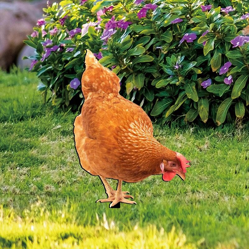 Csirkeudvar dekoráció Tyúk karótábla akril kakas dekor földdugó Reális baromfi szobor udvarhoz pázsit terasz kert