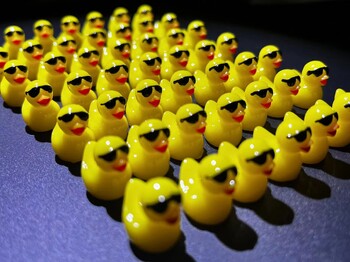 50-100 τμχ Miniatures Yellow Ducks with Glasses Mini Duck Resin Micro Landscape Decoration Fairy Garden Kawaii Accessories