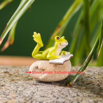 Ζώο Βάτραχος Νεράιδα Προσομοίωση Μίνι Ρητίνη Στολίδι Διακόσμηση Κήπου Μινιατούρα ειδώλια Σπίτι Micro LandscapeTerrarium Craft Gift
