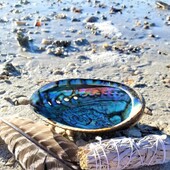 9-13 cm-es természetes abalone kagyló lakberendezési kagyló tengerpart esküvői óceán dekoráció ékszerek barkácsolás szappantartó akváriumi táj