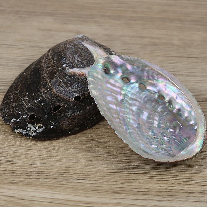 9-13 cm-es természetes abalone kagyló lakberendezési kagyló tengerpart esküvői óceán dekoráció ékszerek barkácsolás szappantartó akváriumi táj