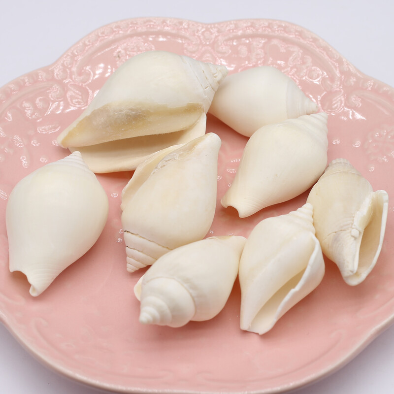 100g veľké prírodné biele mušle, remeslá, DIY prívesky na výrobu náramkov, náušnice, príslušenstvo, akvárium, ozdoba, dekorácia