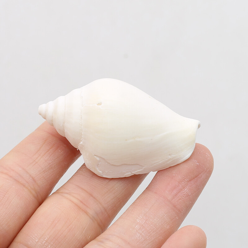 100g veľké prírodné biele mušle, remeslá, DIY prívesky na výrobu náramkov, náušnice, príslušenstvo, akvárium, ozdoba, dekorácia